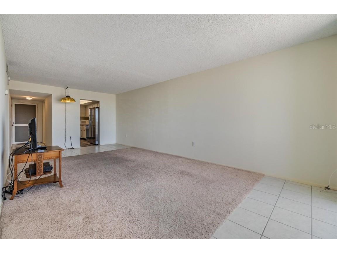 9 Forbes Place #205 Dunedin FL 34698 TB8374281 image32