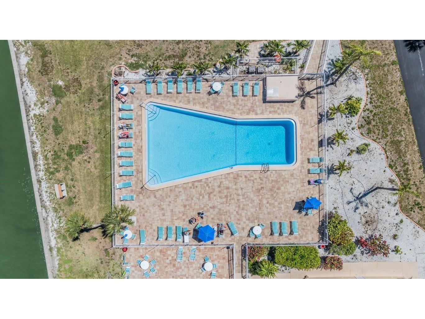 9 Forbes Place #205 Dunedin FL 34698 TB8374281 image4