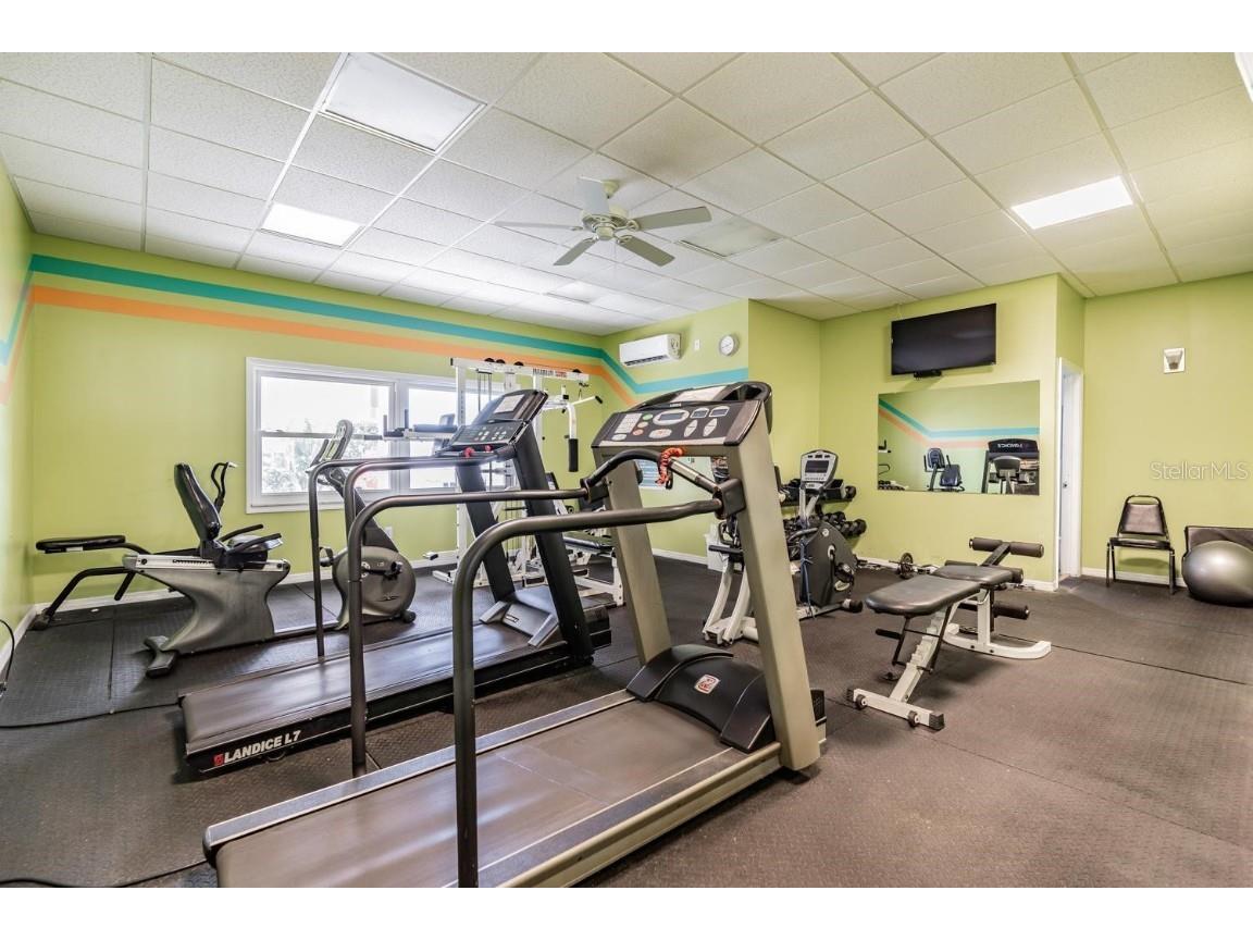 9 Forbes Place #205 Dunedin FL 34698 TB8374281 image55