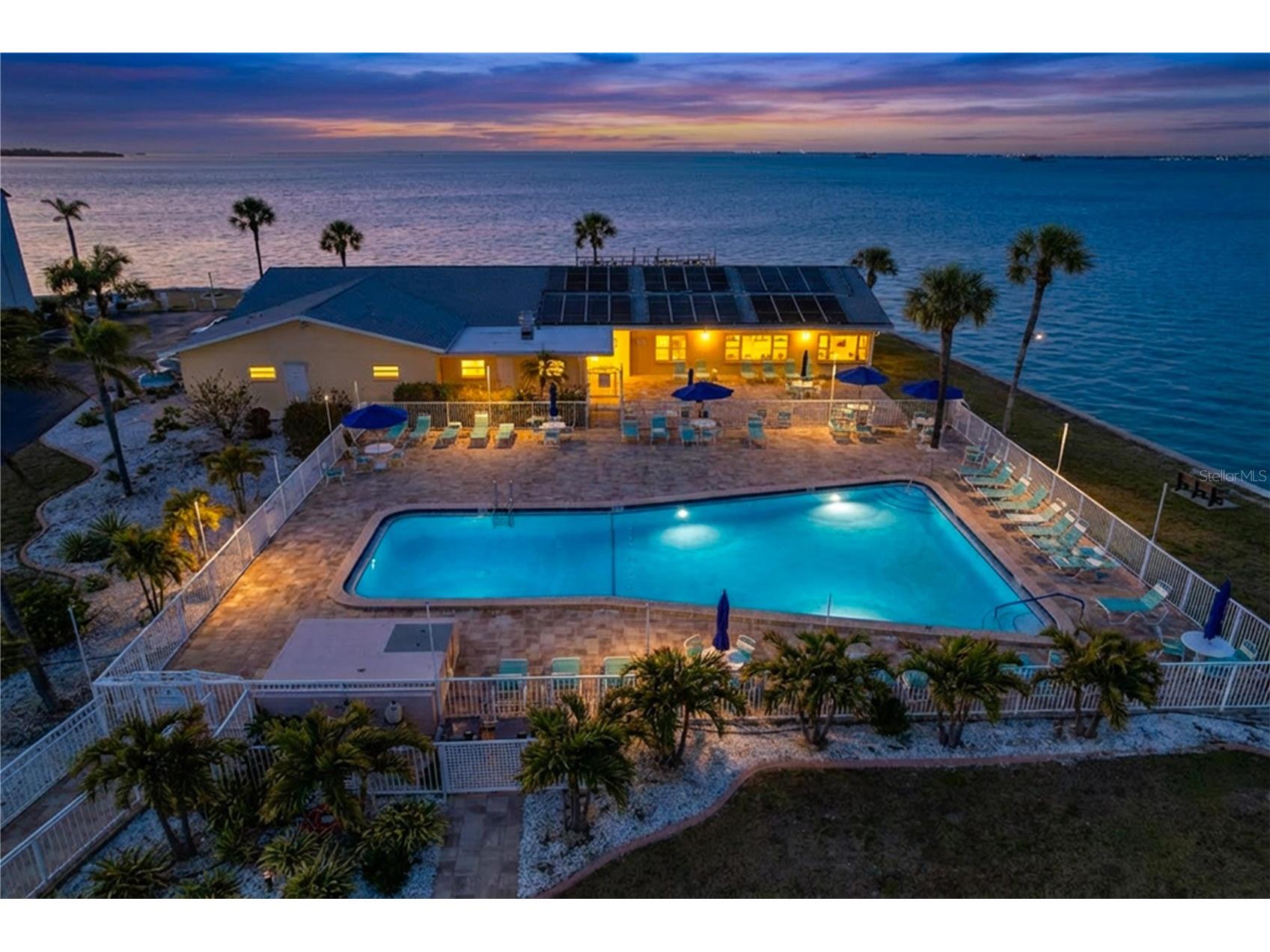 9 Forbes Place #310 Dunedin FL 34698 TB8479738 image2