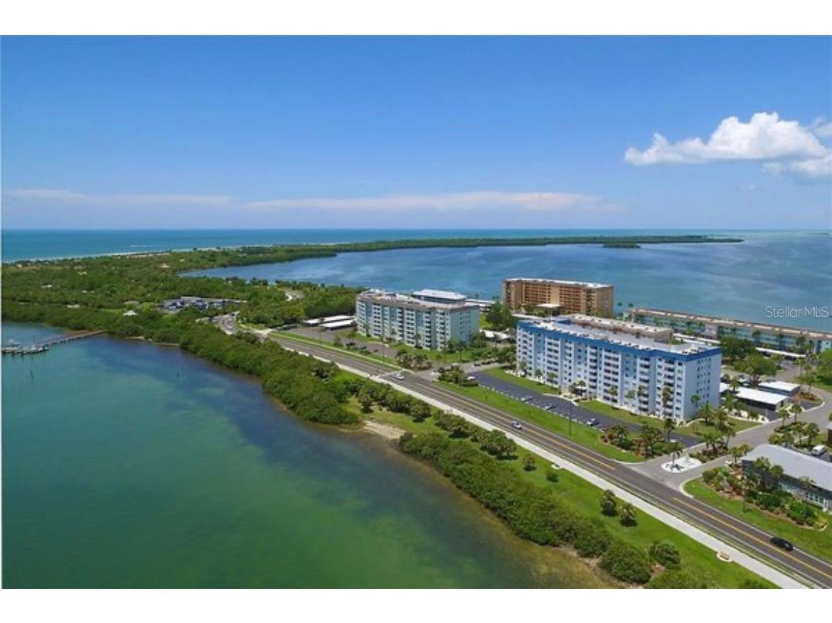 9 Forbes Place #405 Dunedin FL 34698 TB8511568 image14
