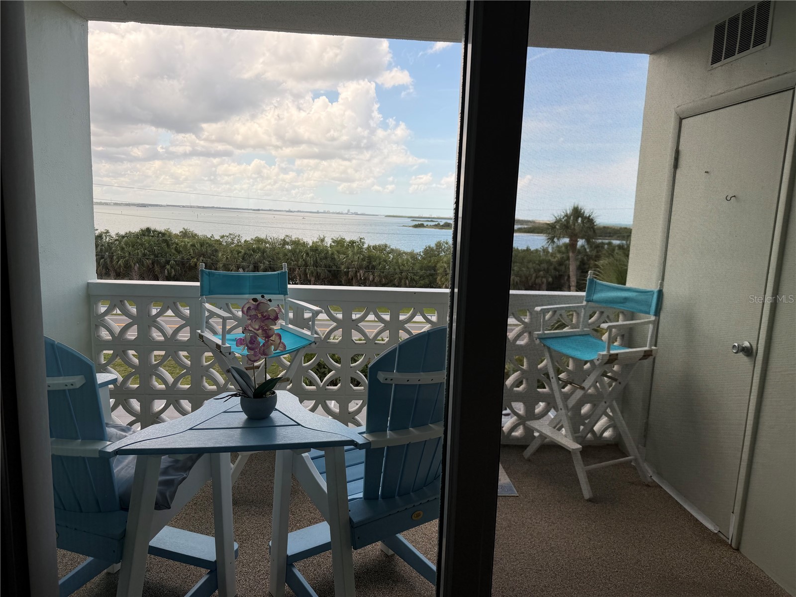 9 Forbes Place #405 Dunedin FL 34698 TB8511568 image4