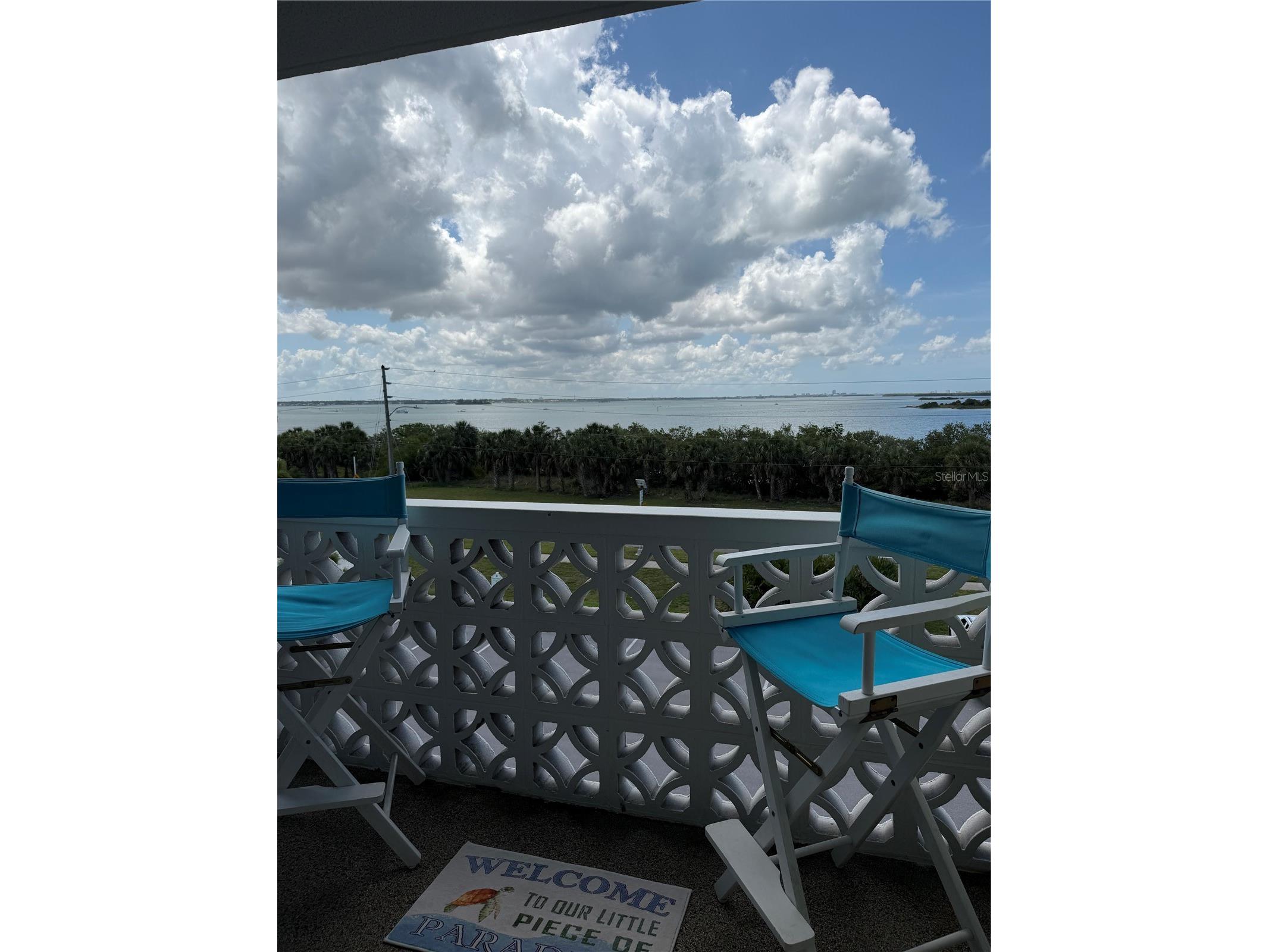 9 Forbes Place #405 Dunedin FL 34698 TB8511568 image5