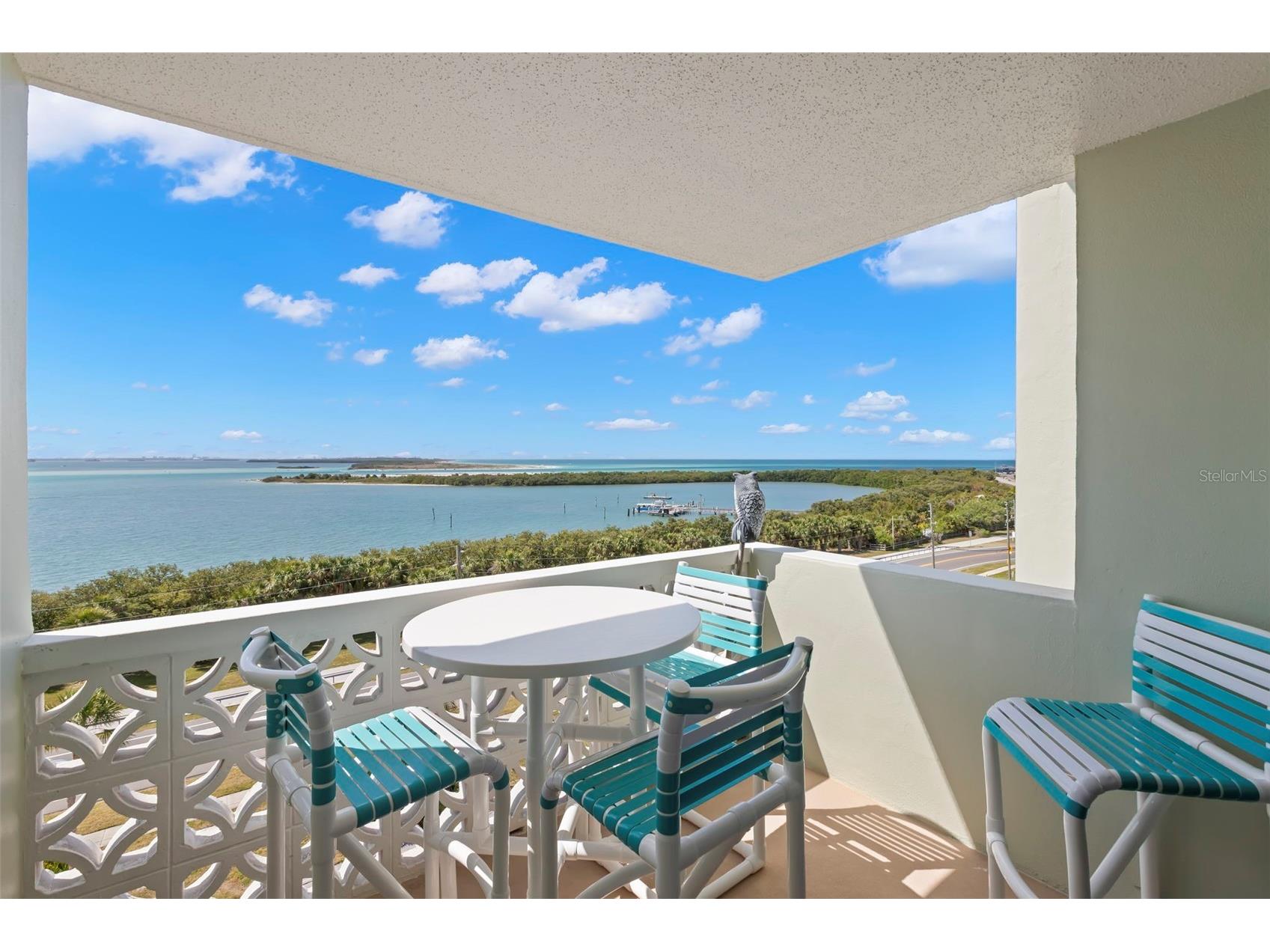 9 Forbes Place #707 Dunedin FL 34698 TB8491932 image13