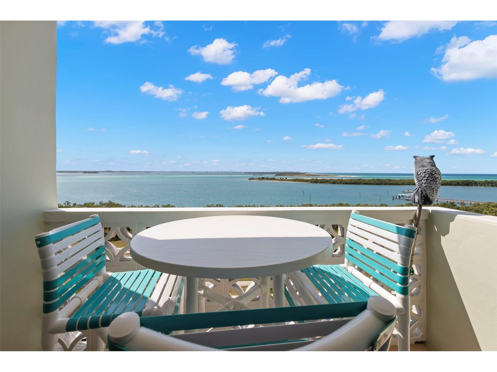 9 Forbes Place #707 Dunedin FL 34698 TB8491932 image2