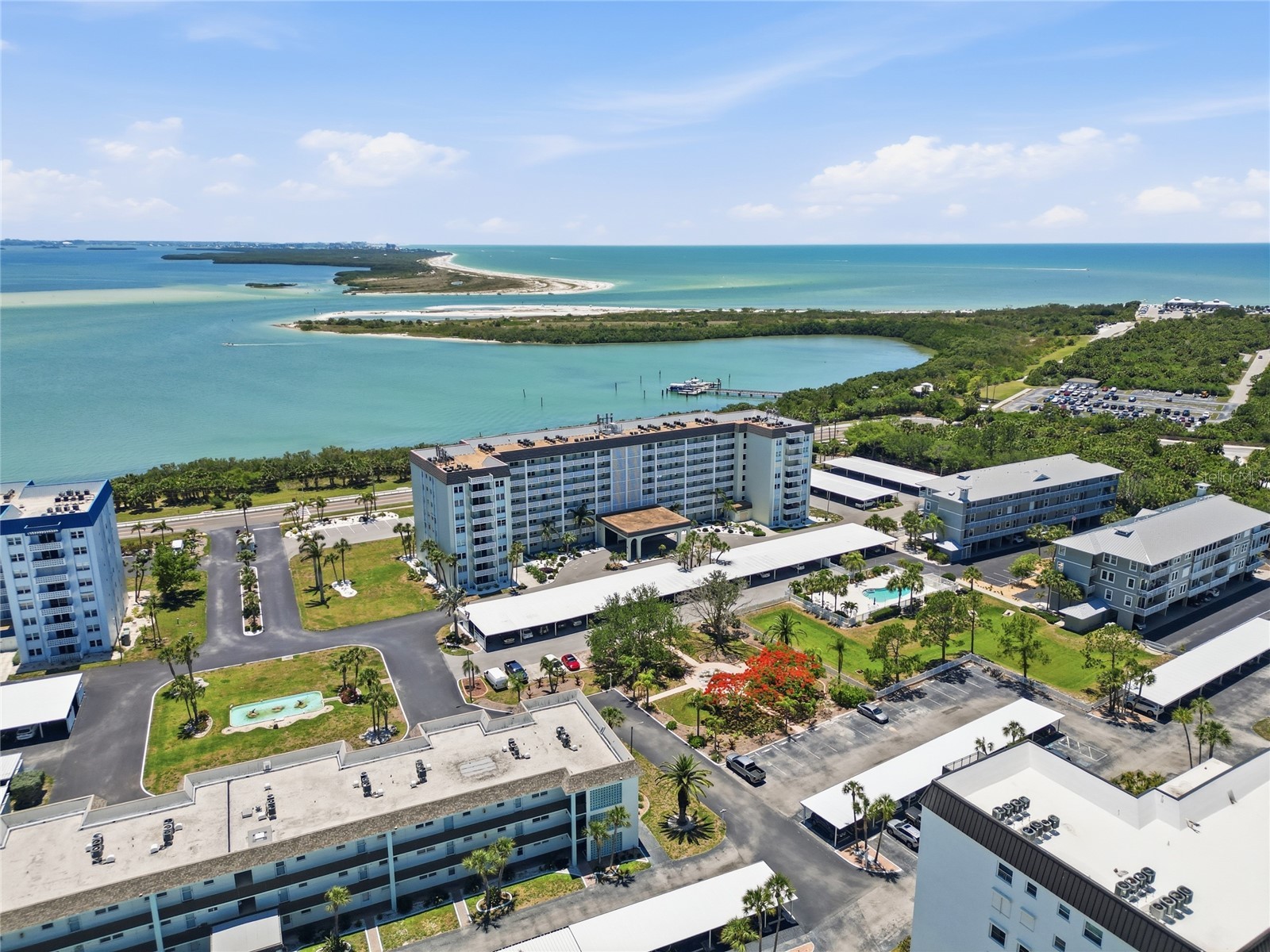 9 Forbes Place Place #112 Dunedin FL 34698 TB8509048 image56