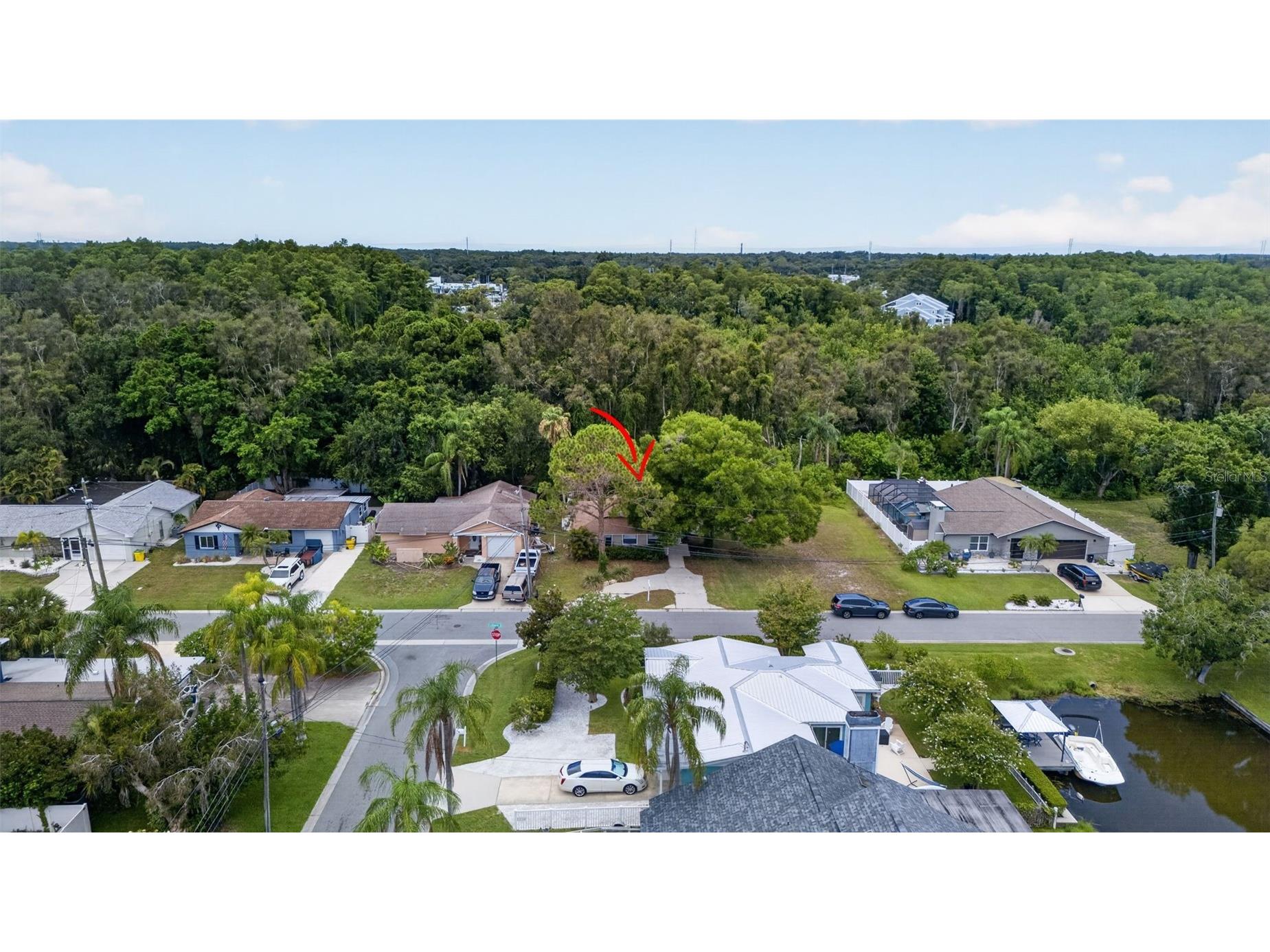 9 Freshwater Drive Palm Harbor FL 34684 TB8526277 image20