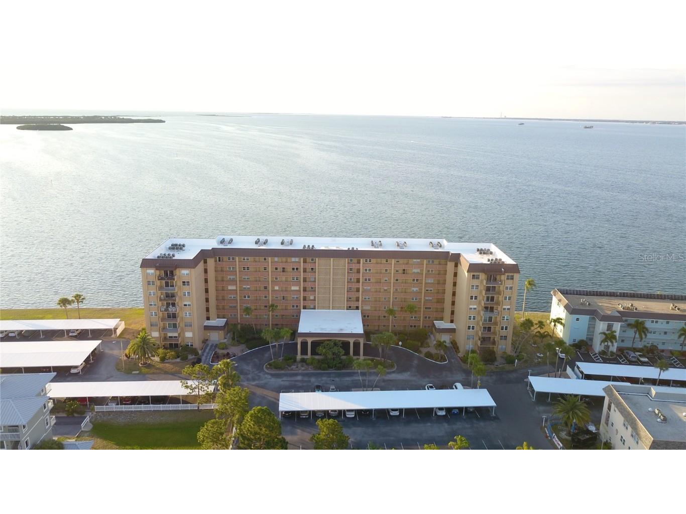 9 Haig Place #101 Dunedin FL 34698 U8223761 image1
