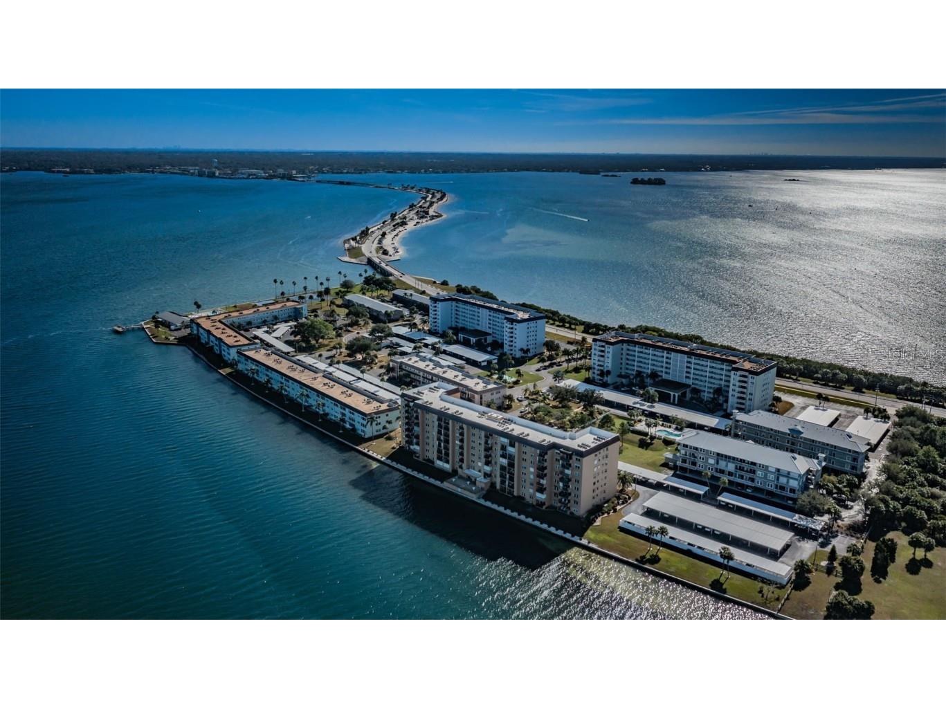 9 Haig Place #104 Dunedin FL 34698 U8187456 image1