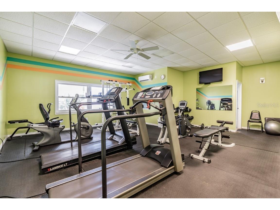 9 Haig Place #104 Dunedin FL 34698 - ST. JOSEPH SOUND TB8447985 image34