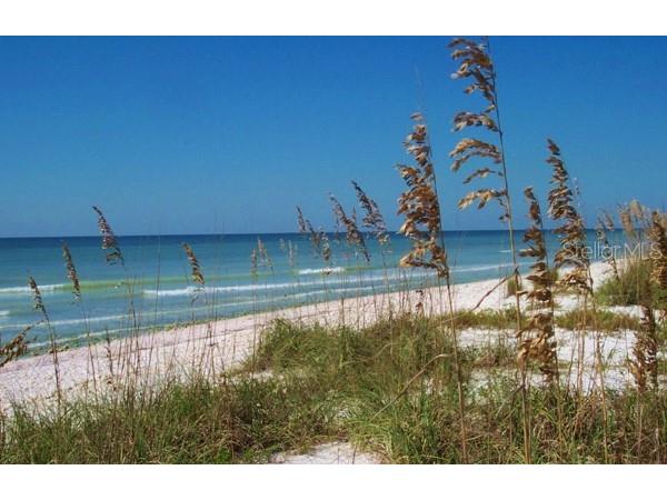 9 Haig Place #104 Dunedin FL 34698 - ST. JOSEPH SOUND TB8447985 image49