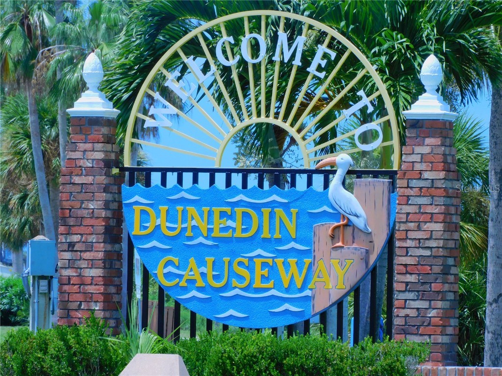 9 Haig Place #104 Dunedin FL 34698 - ST. JOSEPH SOUND TB8447985 image50