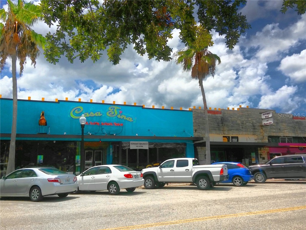 9 Haig Place #104 Dunedin FL 34698 - ST. JOSEPH SOUND TB8447985 image53