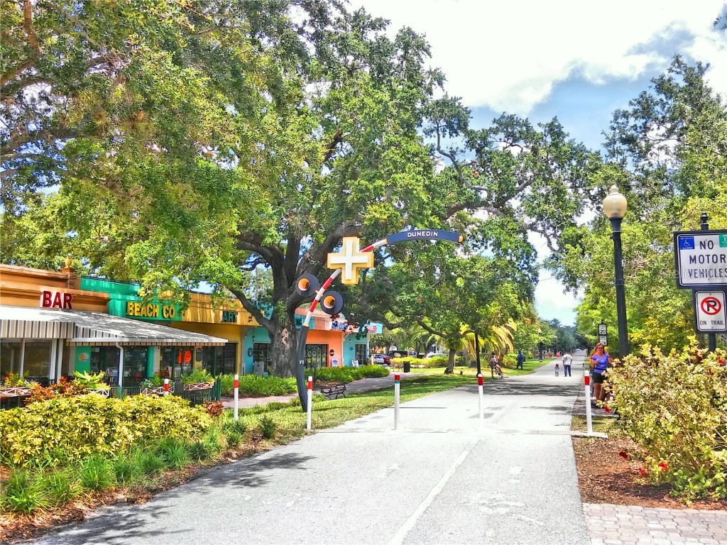 9 Haig Place #104 Dunedin FL 34698 - ST. JOSEPH SOUND TB8447985 image54