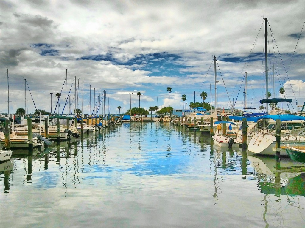 9 Haig Place #104 Dunedin FL 34698 - ST. JOSEPH SOUND TB8447985 image59