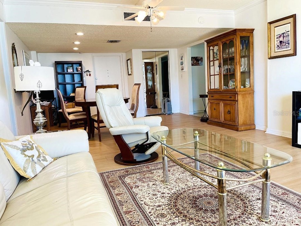 9 Haig Place #312 Dunedin FL 34698 TB8460608 image11