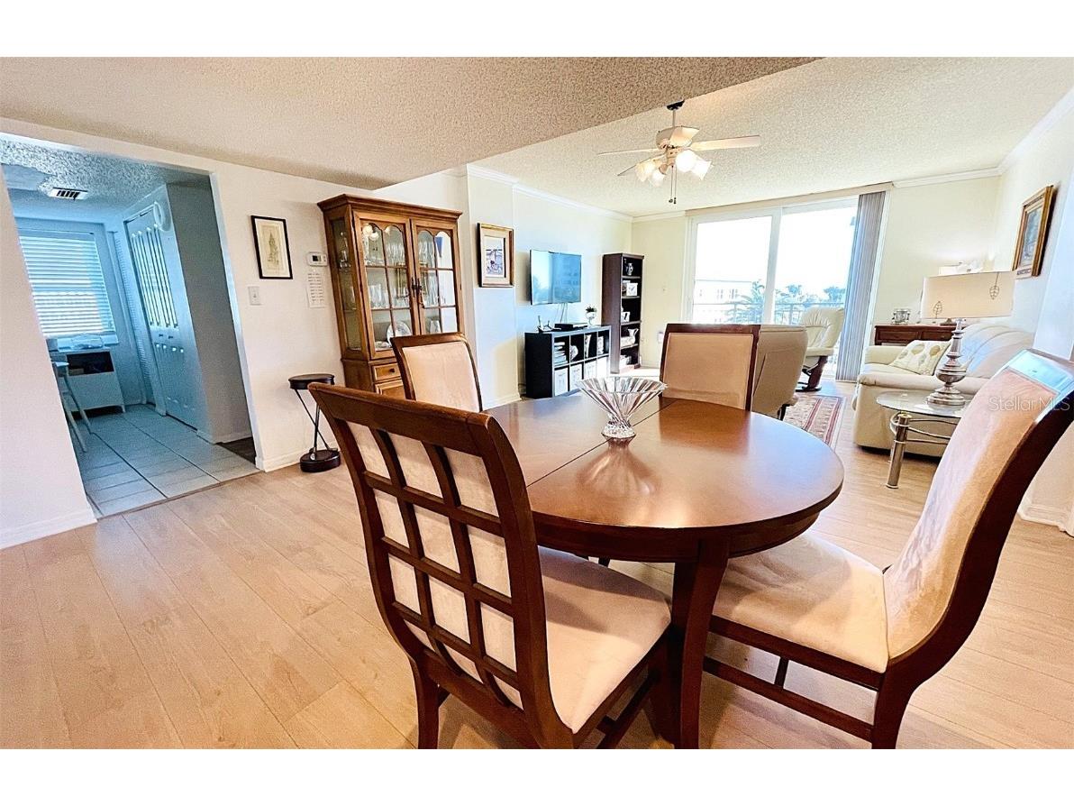 9 Haig Place #312 Dunedin FL 34698 TB8460608 image12