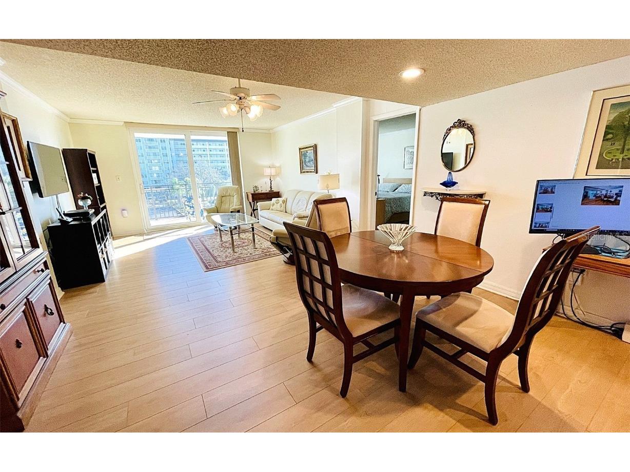 9 Haig Place #312 Dunedin FL 34698 TB8460608 image14