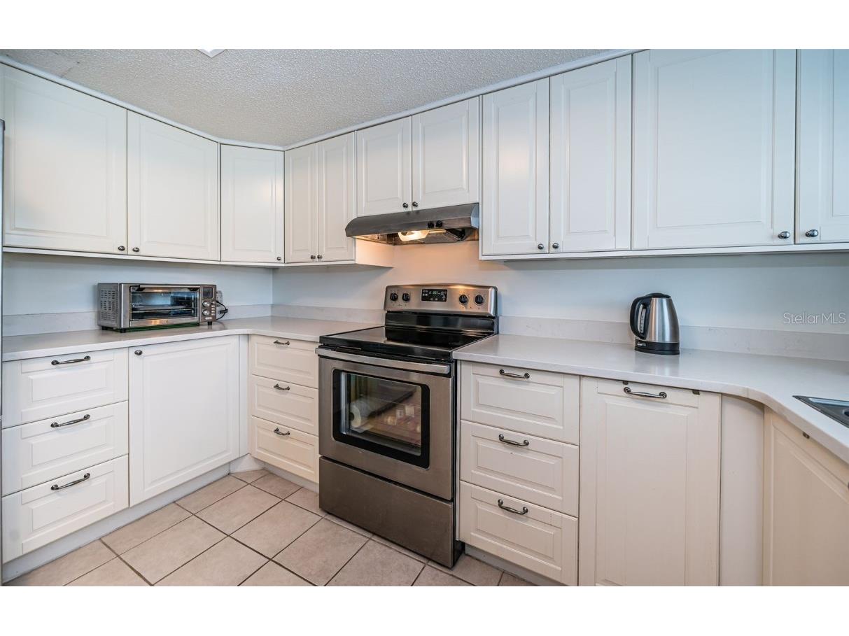 9 Haig Place #312 Dunedin FL 34698 TB8460608 image18