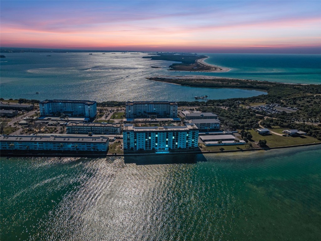 9 Haig Place #312 Dunedin FL 34698 TB8460608 image2