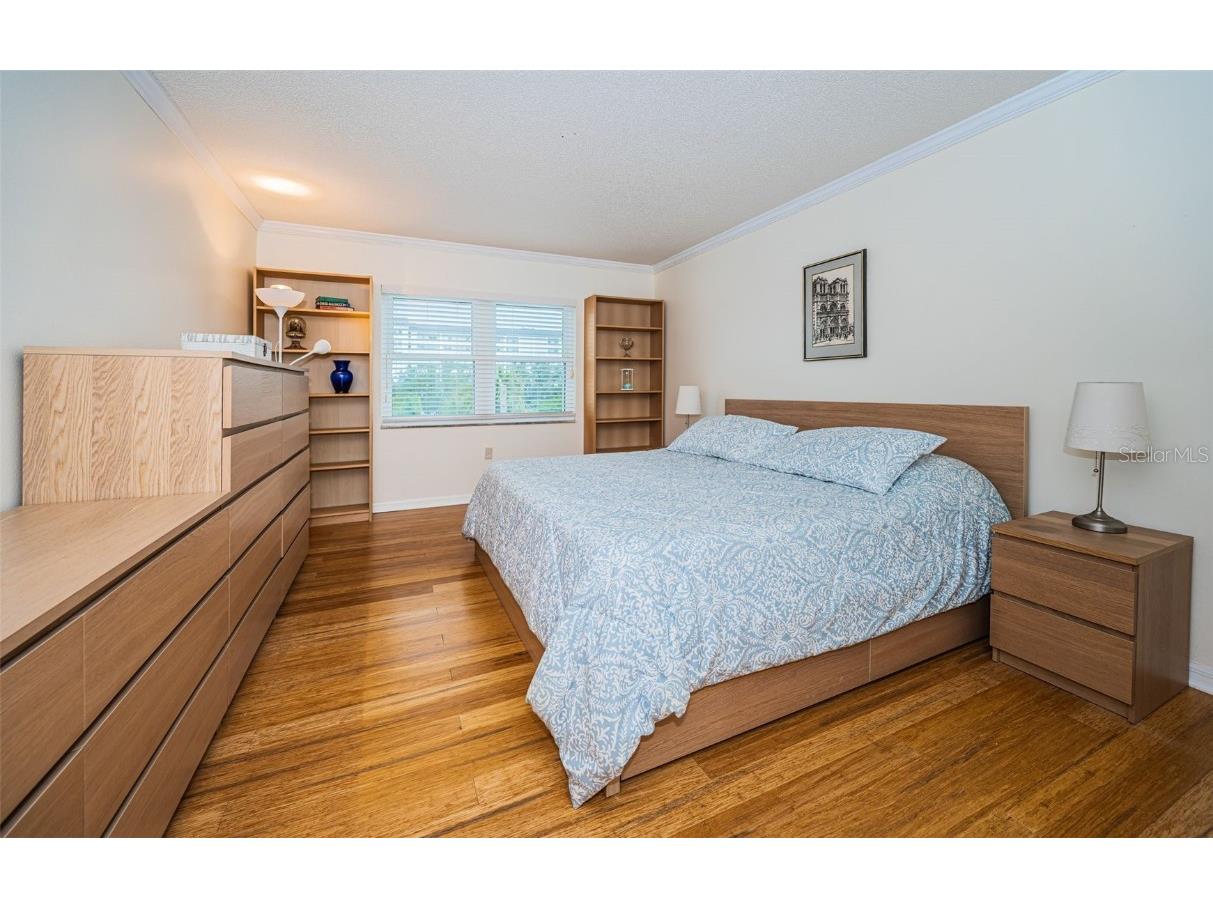 9 Haig Place #312 Dunedin FL 34698 TB8460608 image23