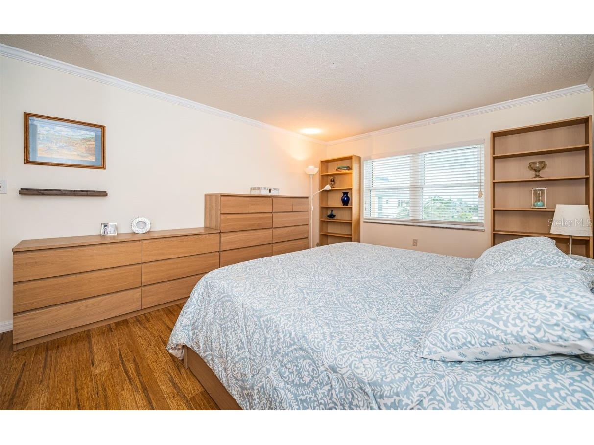 9 Haig Place #312 Dunedin FL 34698 TB8460608 image24
