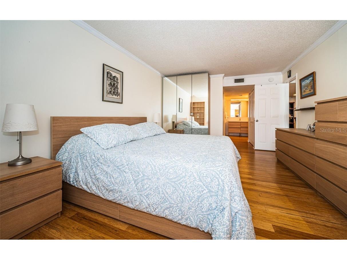 9 Haig Place #312 Dunedin FL 34698 TB8460608 image25