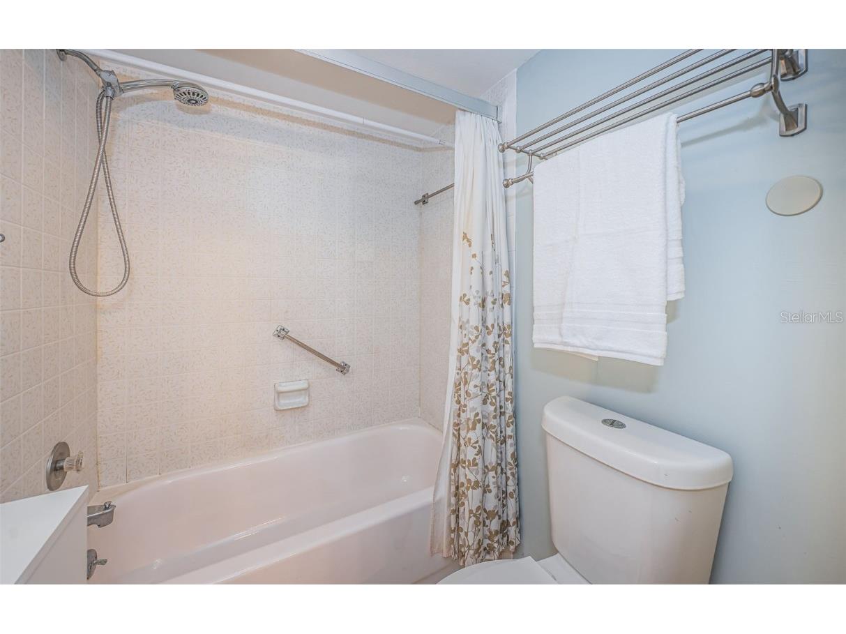 9 Haig Place #312 Dunedin FL 34698 TB8460608 image27