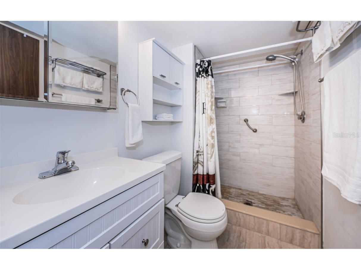 9 Haig Place #312 Dunedin FL 34698 TB8460608 image31