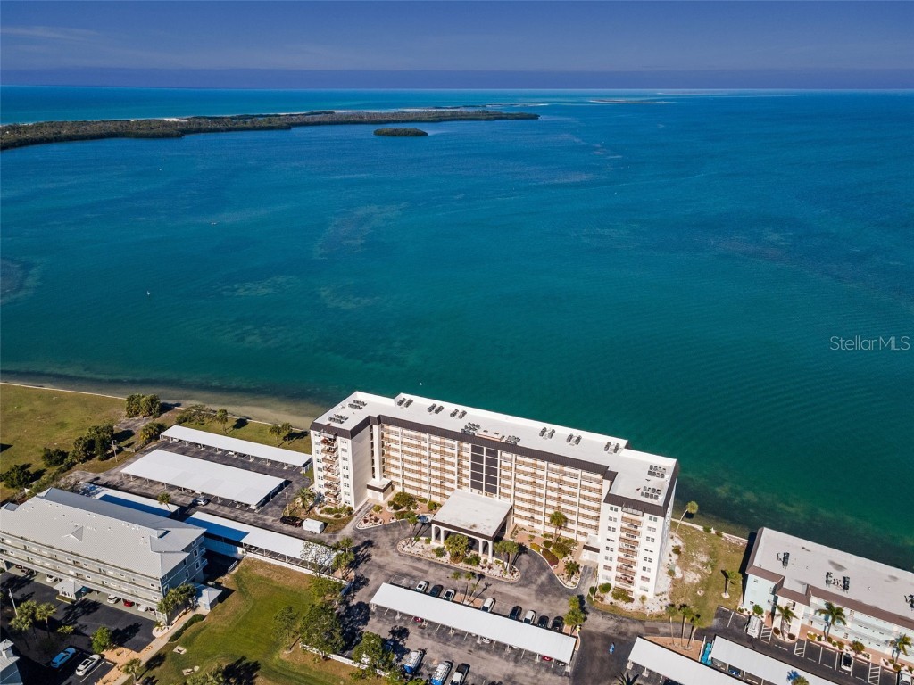 9 Haig Place #312 Dunedin FL 34698 TB8460608 image32