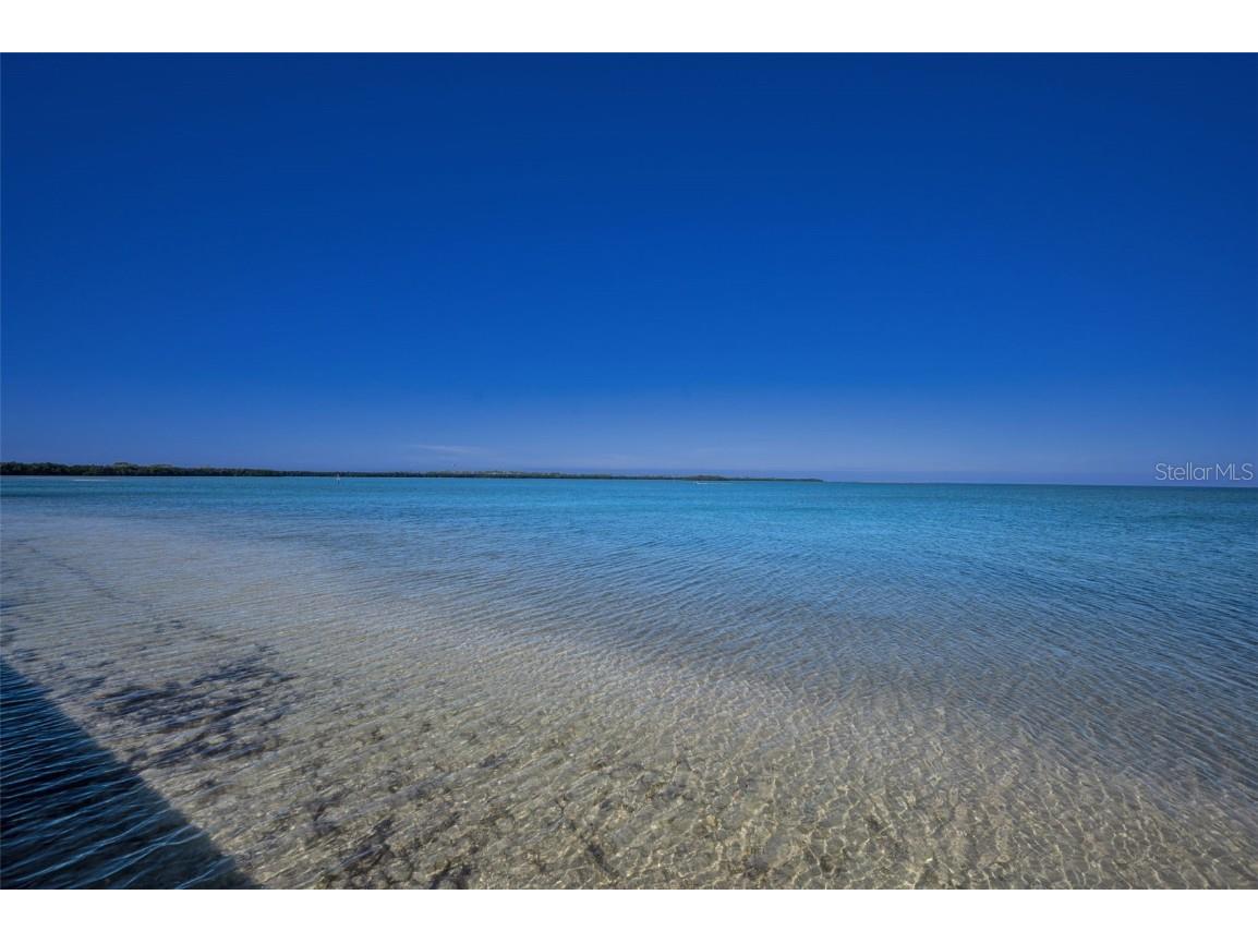 9 Haig Place #312 Dunedin FL 34698 TB8460608 image39