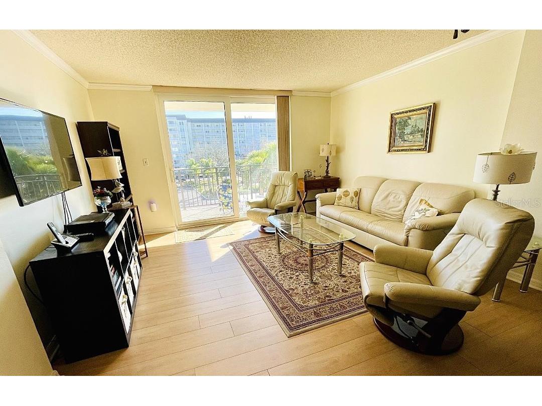 9 Haig Place #312 Dunedin FL 34698 TB8460608 image4