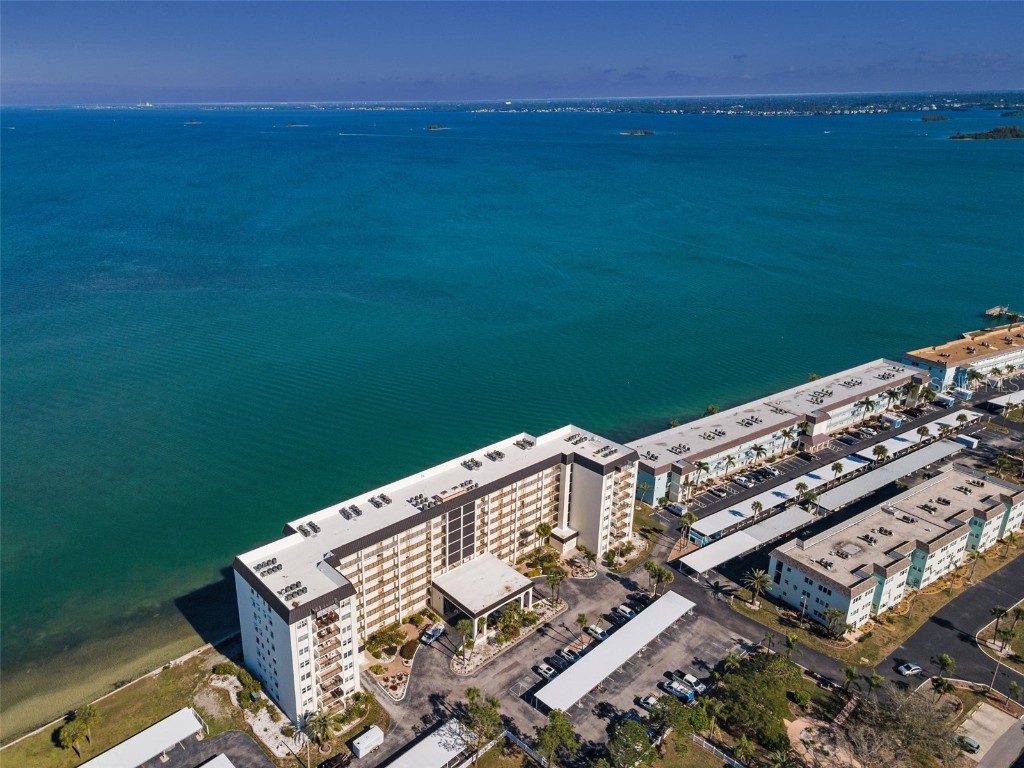 9 Haig Place #312 Dunedin FL 34698 TB8460608 image40