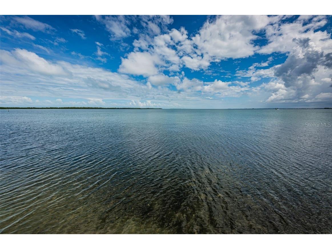 9 Haig Place #312 Dunedin FL 34698 TB8460608 image42