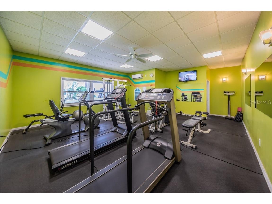9 Haig Place #312 Dunedin FL 34698 TB8460608 image48