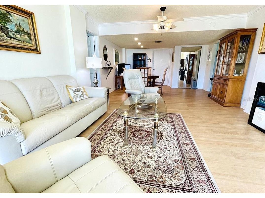 9 Haig Place #312 Dunedin FL 34698 TB8460608 image5