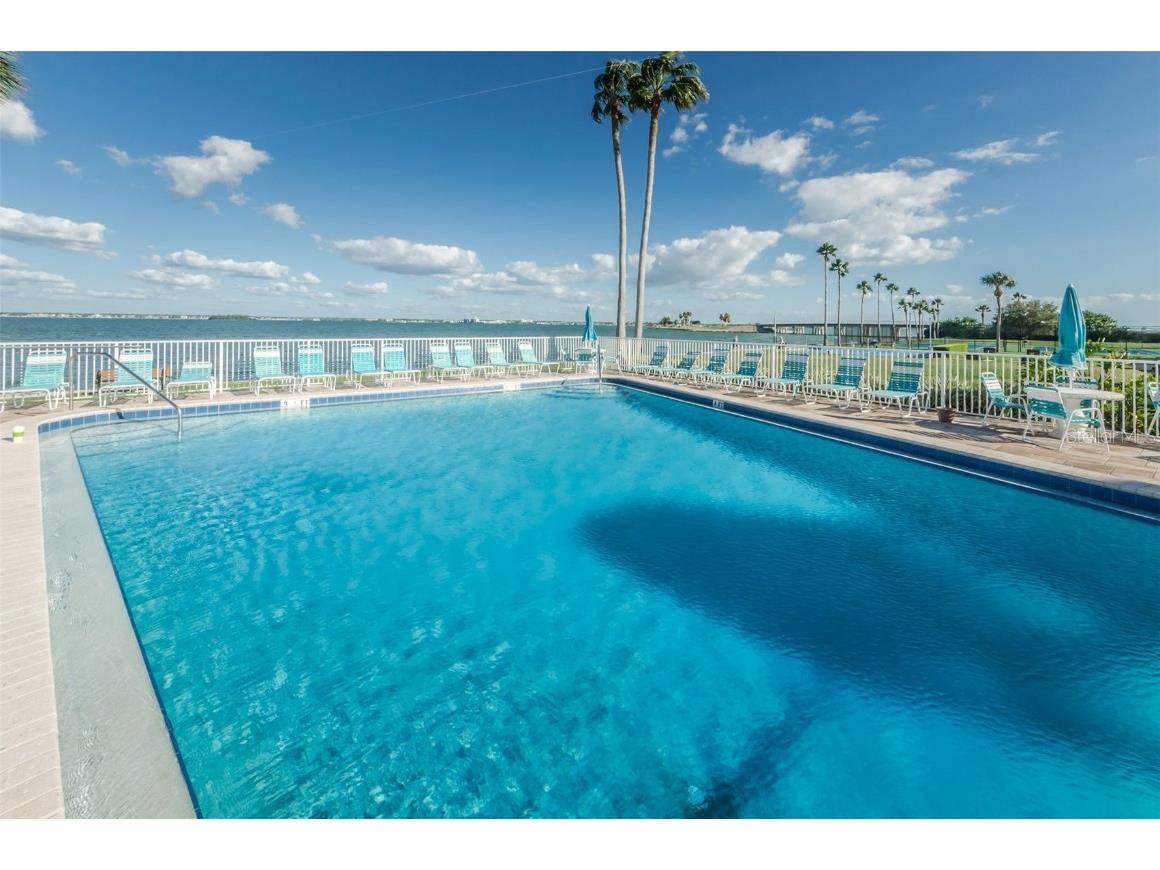 9 Haig Place #312 Dunedin FL 34698 TB8460608 image50