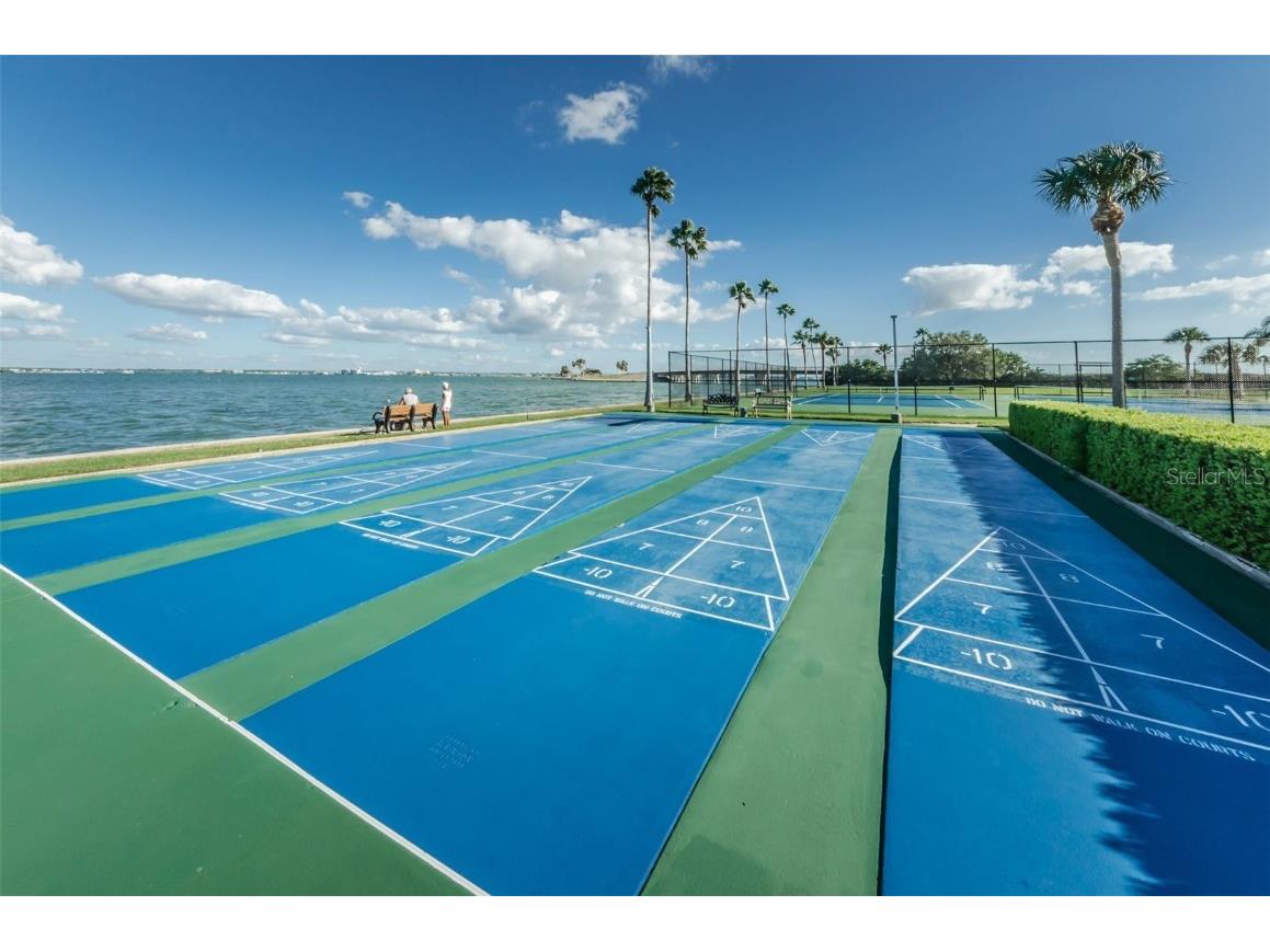 9 Haig Place #312 Dunedin FL 34698 TB8460608 image52