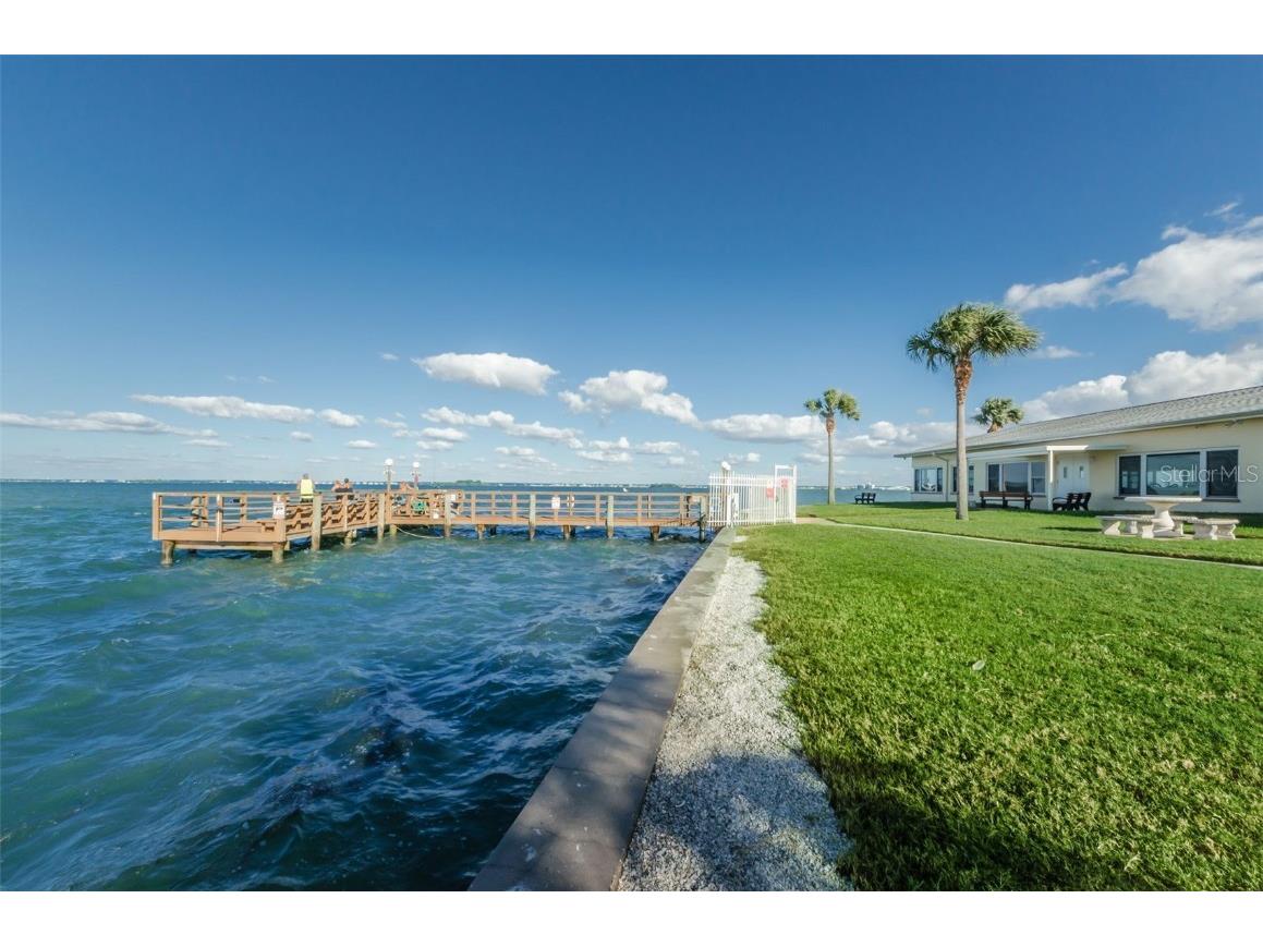 9 Haig Place #312 Dunedin FL 34698 TB8460608 image59