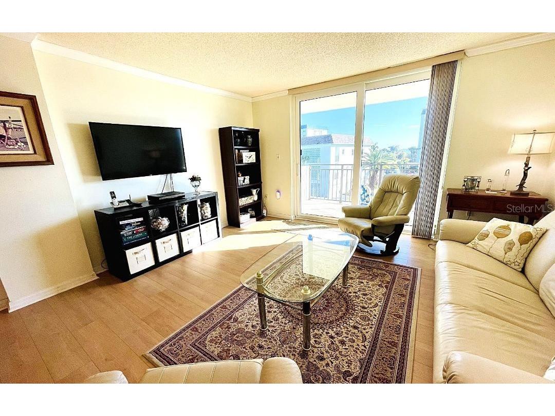 9 Haig Place #312 Dunedin FL 34698 TB8460608 image6