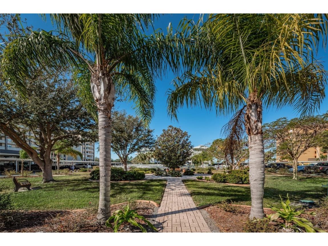 9 Haig Place #312 Dunedin FL 34698 TB8460608 image60