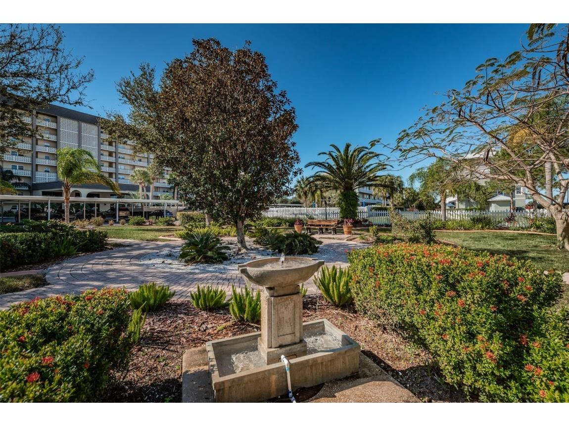9 Haig Place #312 Dunedin FL 34698 TB8460608 image61