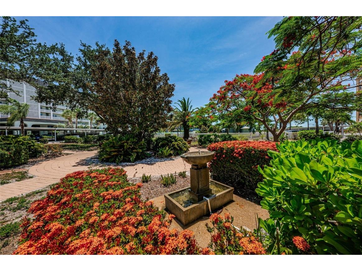 9 Haig Place #312 Dunedin FL 34698 TB8460608 image62