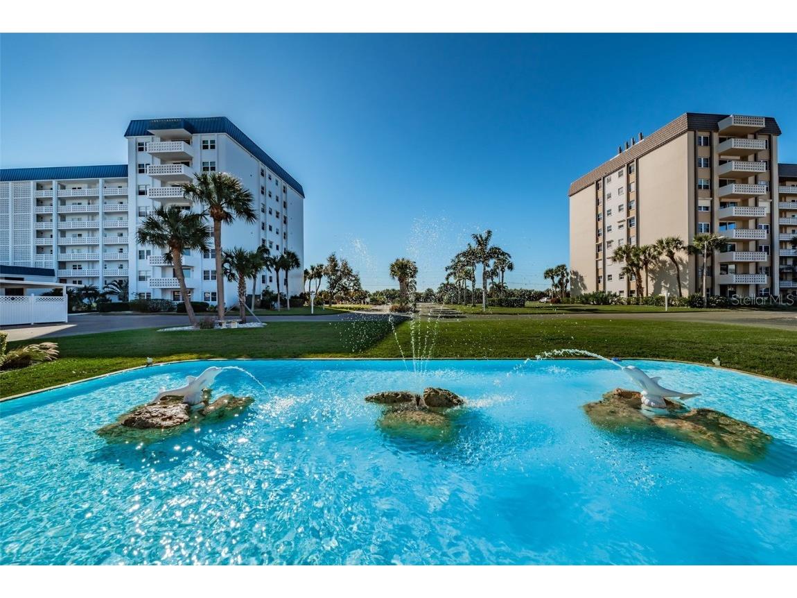 9 Haig Place #312 Dunedin FL 34698 TB8460608 image64