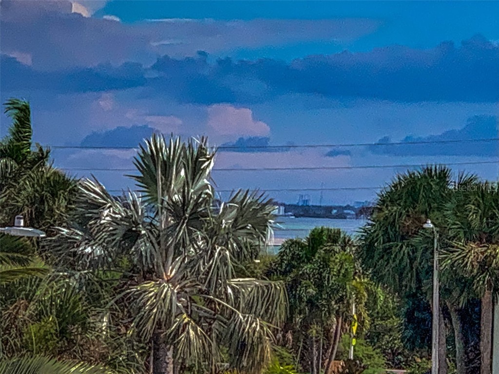 9 Haig Place #312 Dunedin FL 34698 TB8460608 image8