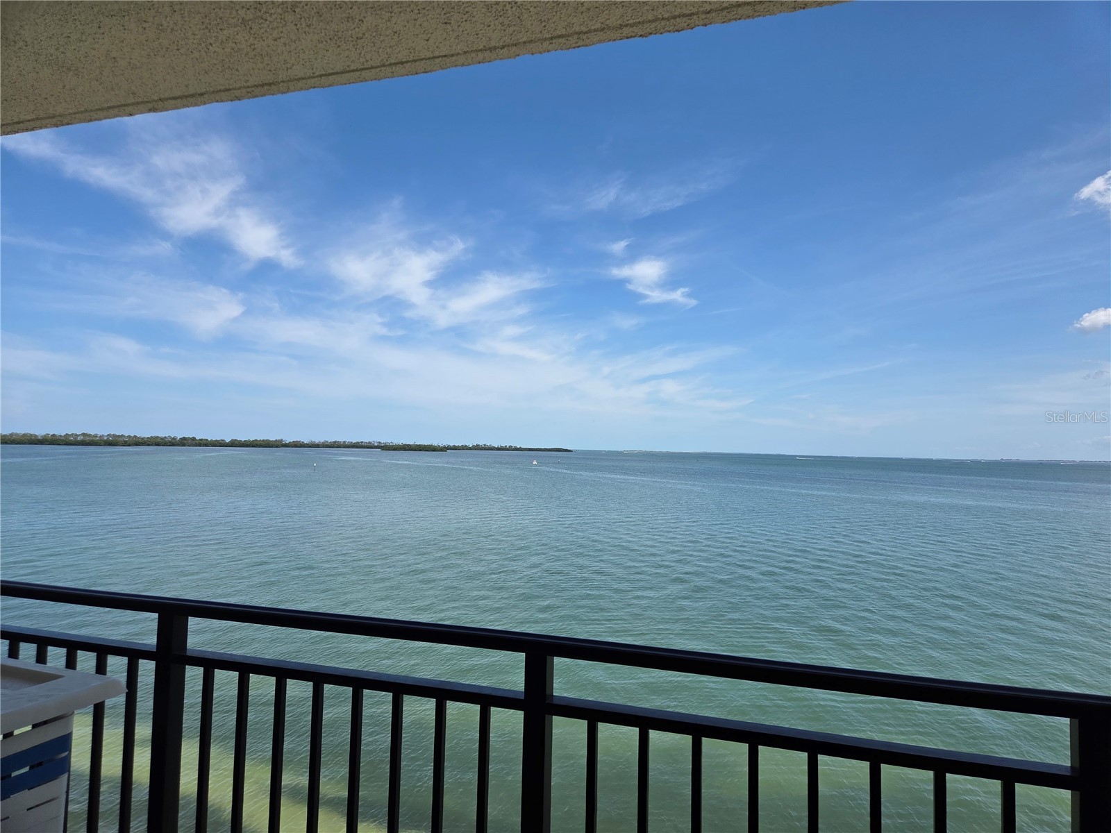 9 Haig Place #405 Dunedin FL 34698 TB8517728 image10