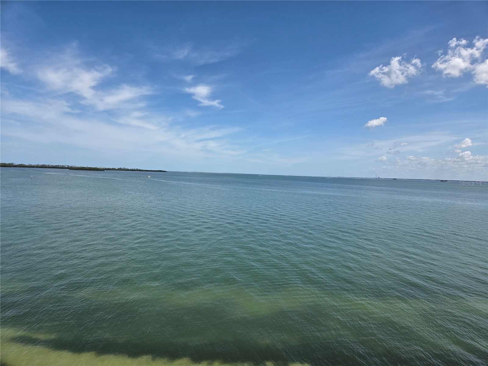 9 Haig Place #405 Dunedin FL 34698 TB8517728 image11