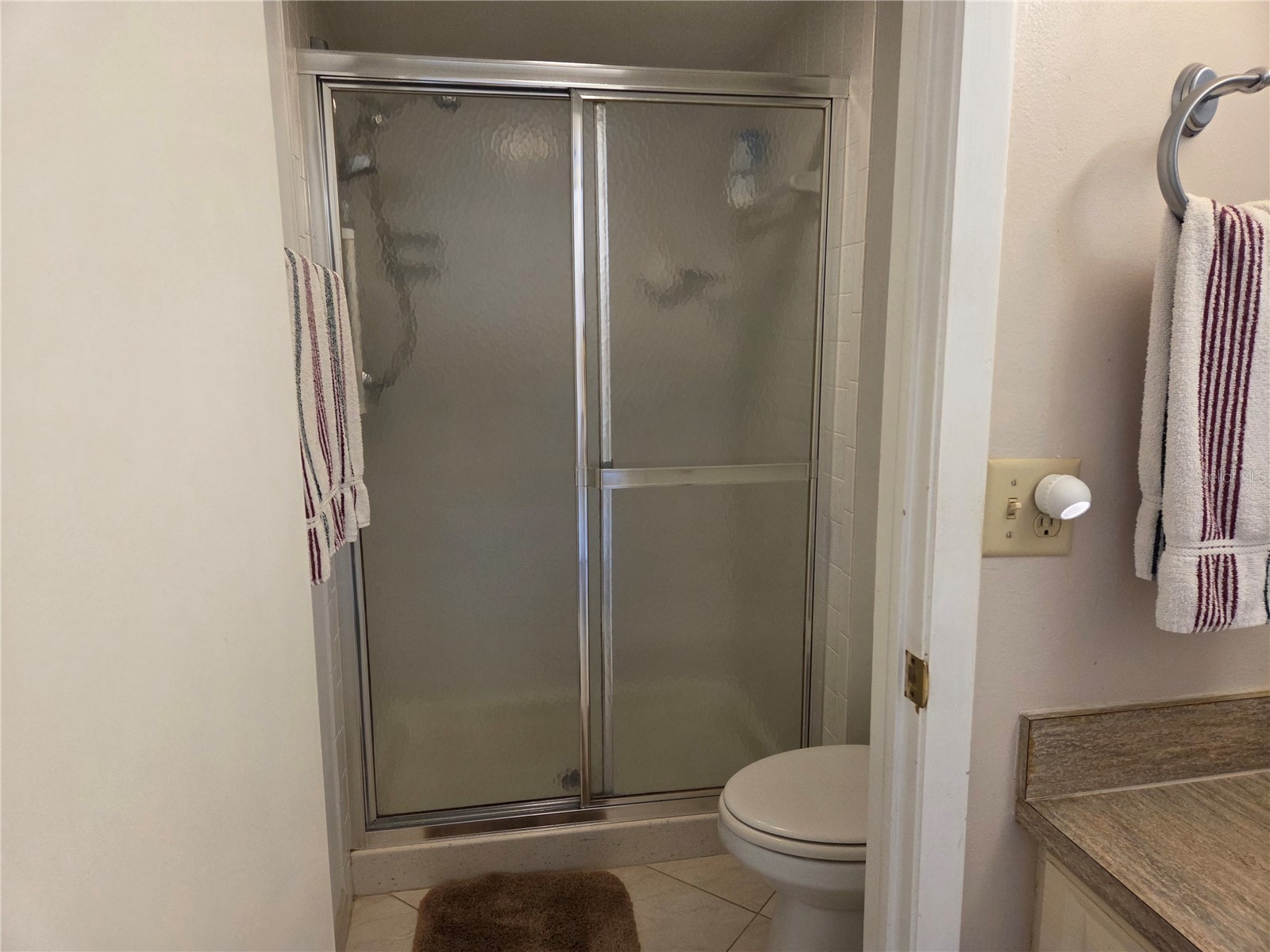 9 Haig Place #405 Dunedin FL 34698 TB8517728 image14