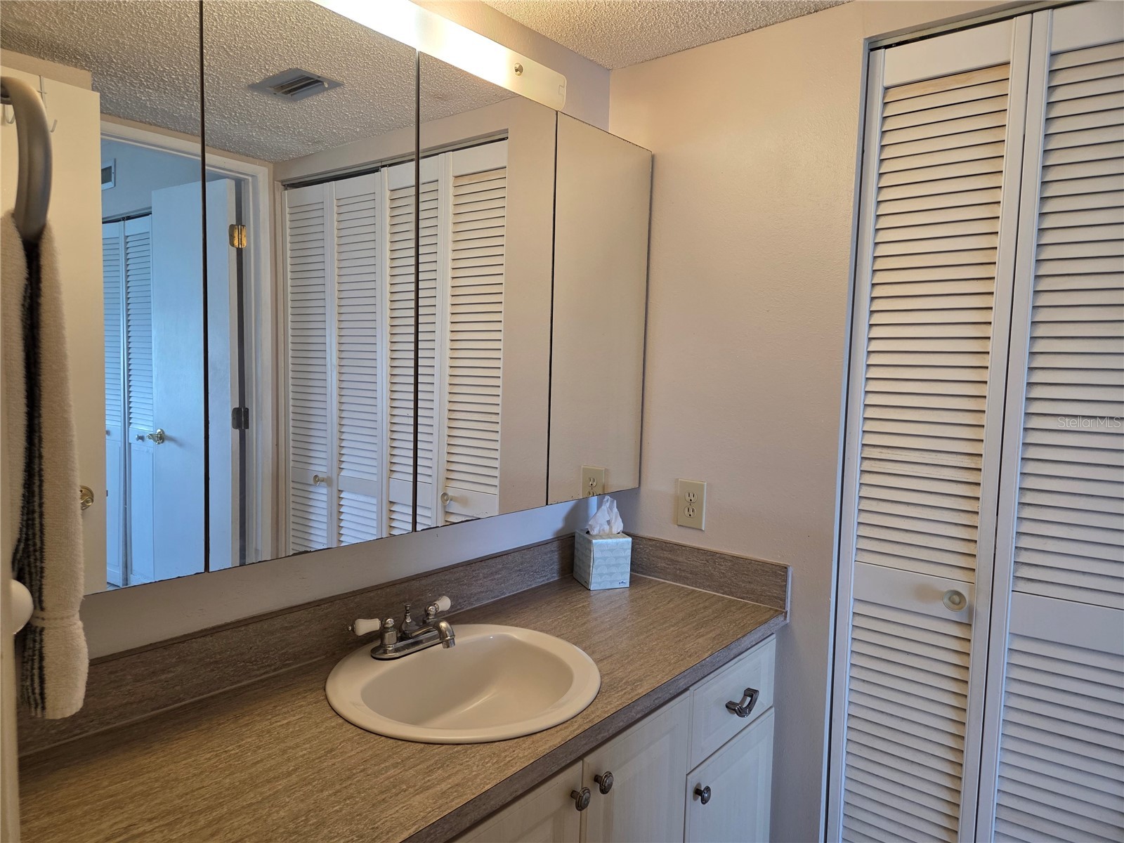 9 Haig Place #405 Dunedin FL 34698 TB8517728 image15