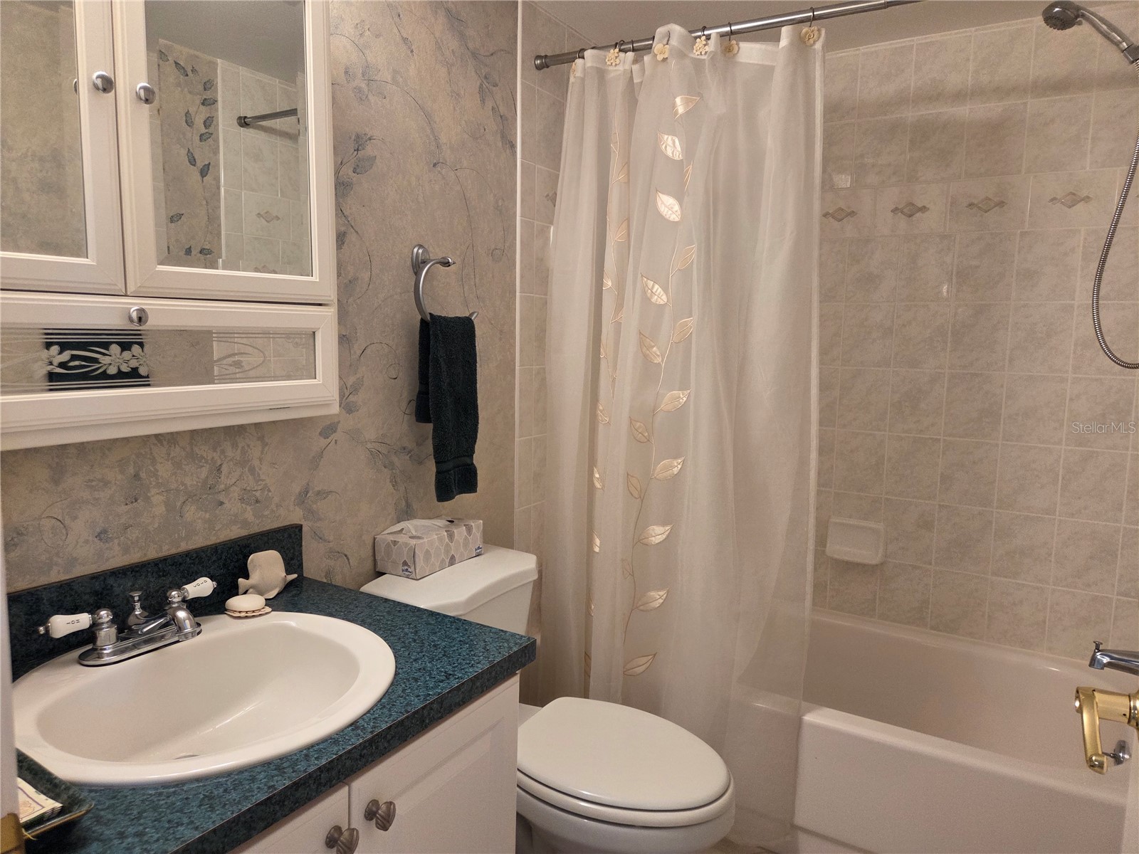 9 Haig Place #405 Dunedin FL 34698 TB8517728 image16